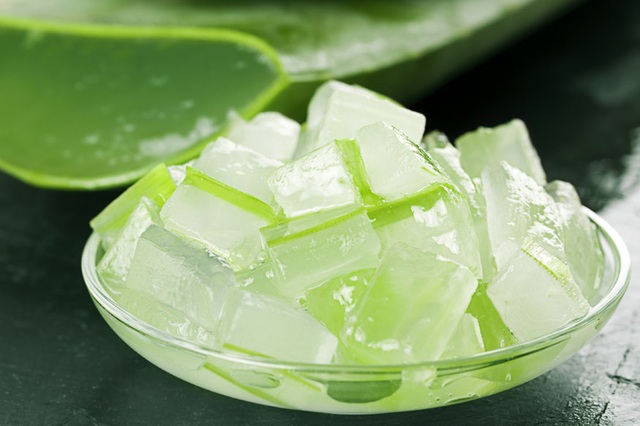 Nha đam có phần gel trong lá rất giàu dưỡng chất 